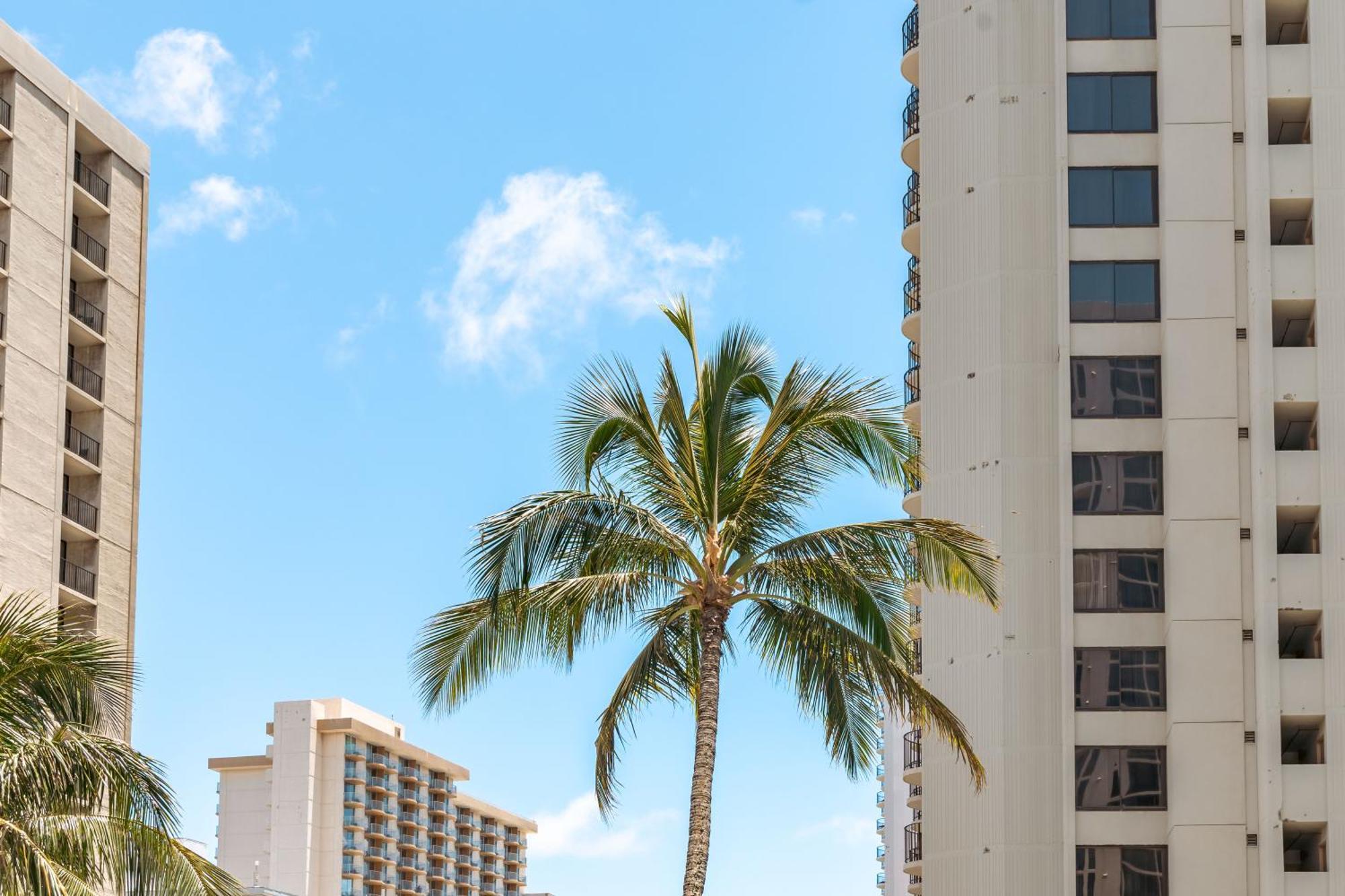 Beautiful 1Br, Steps To Waikiki Beach And Parking Гонолулу Экстерьер фото